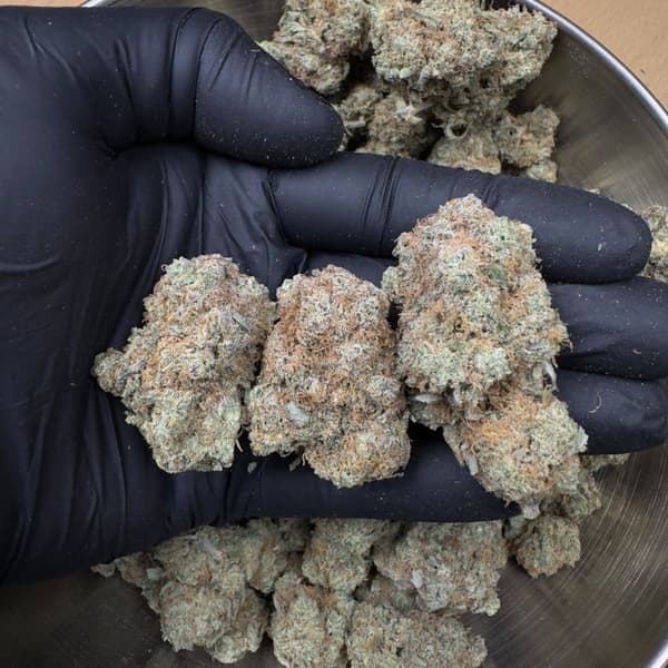 Buy Cherry Pie - Premium Cannabis Product