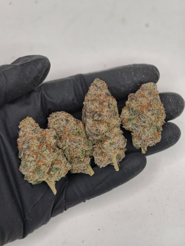 Buy Sour Diesel - Premium Cannabis Product