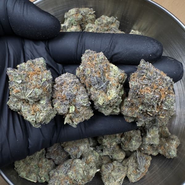 Buy Pink Champagne - Premium Cannabis Product