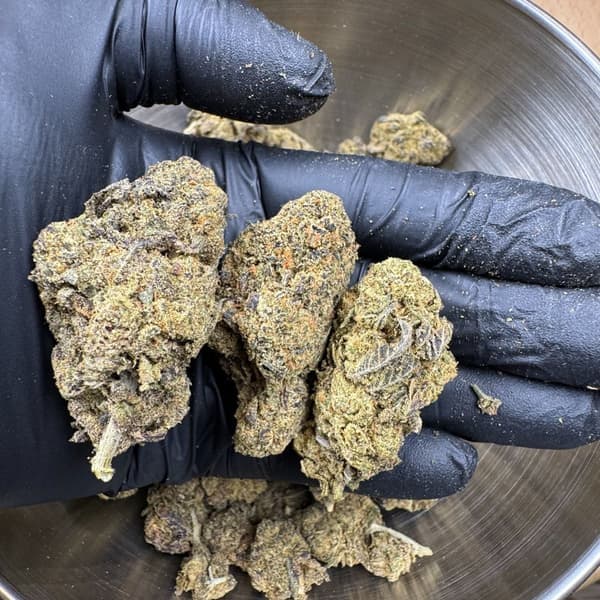 Buy Pave Runtz - Premium Cannabis Product