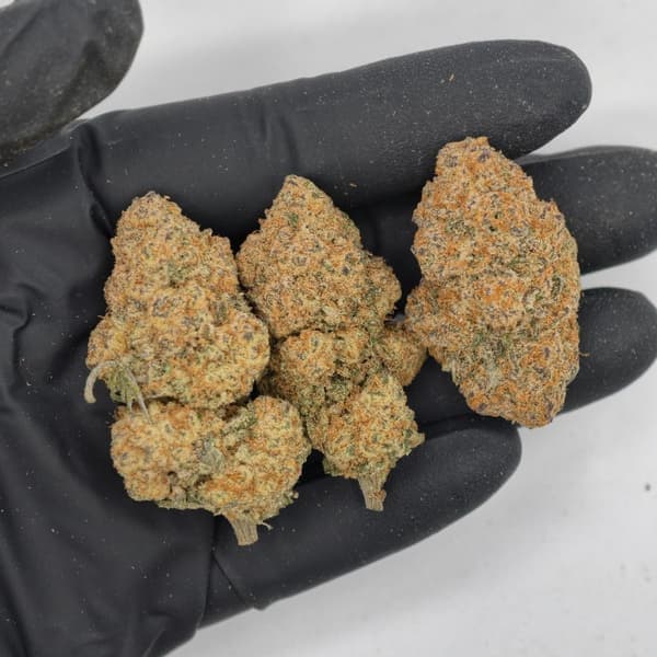 Buy Wedding Cake - Premium Cannabis Product