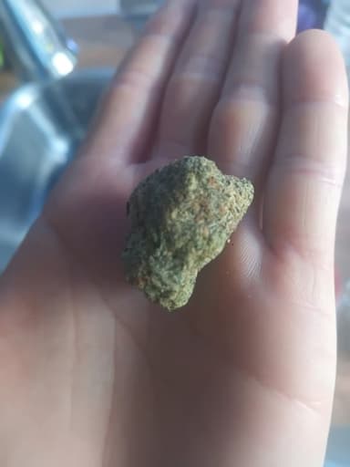 Reseña del cliente