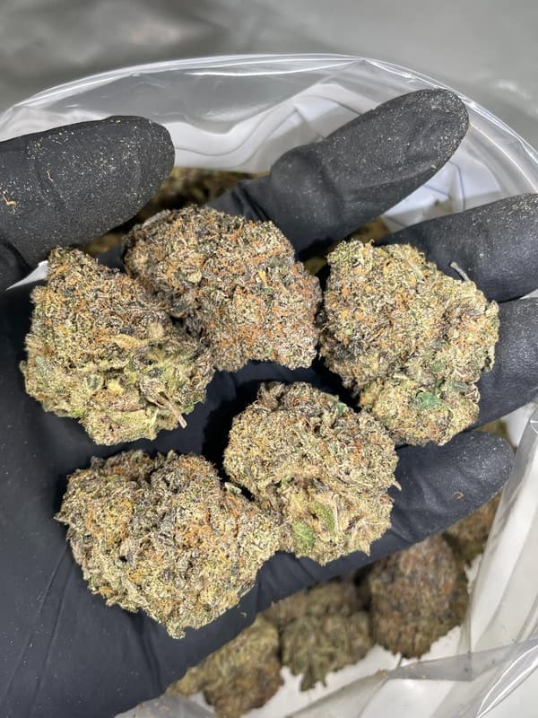 Buy Moonlight OG Kush - Premium Cannabis Product