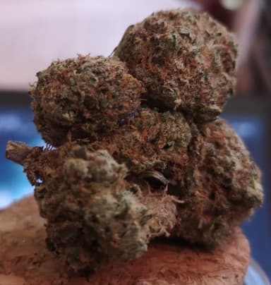 Recensione del cliente