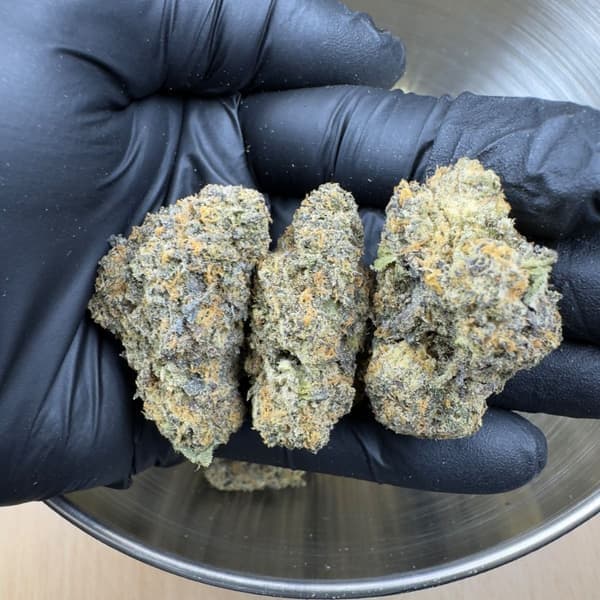 Buy Pink Cookies - Premium Cannabis Product