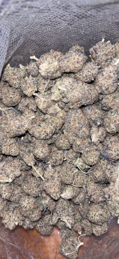 Κριτική πελάτη