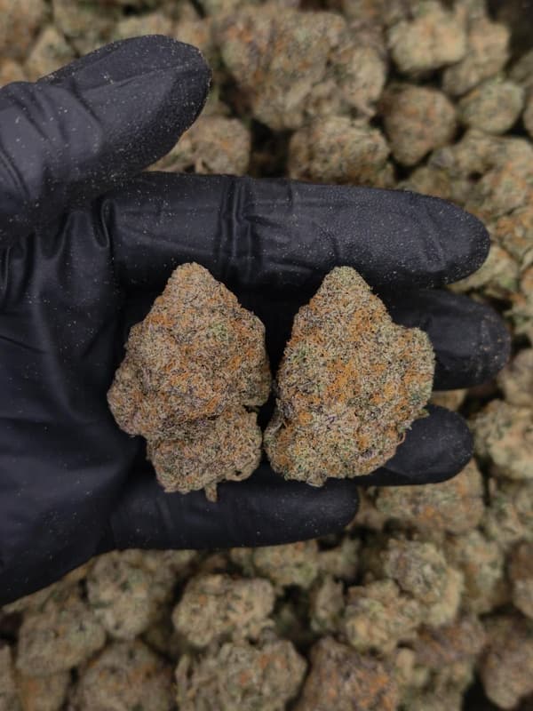 Buy Pink Cookies - Premium Cannabis Product