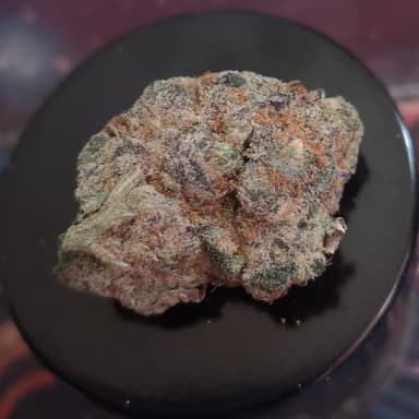 Recensione del cliente