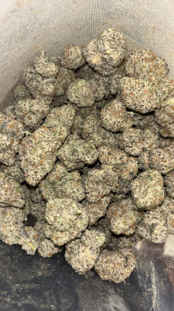 Frosty
