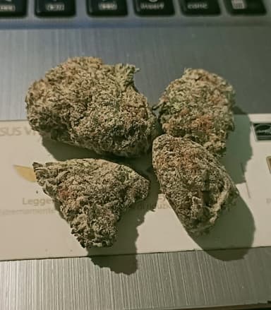 Avaliação de cliente