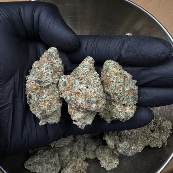 Buy Dante's Inferno - Premium Cannabis Product