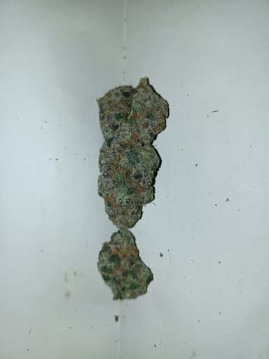 Avaliação de cliente