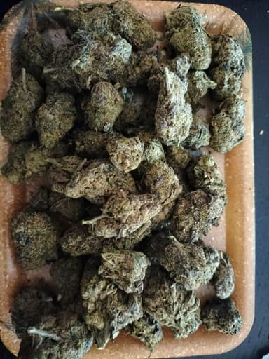 Κριτική πελάτη