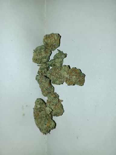 Avaliação de cliente