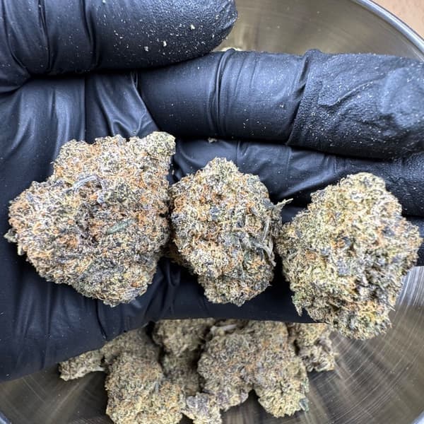 Buy Moonlight OG Kush - Premium Cannabis Product