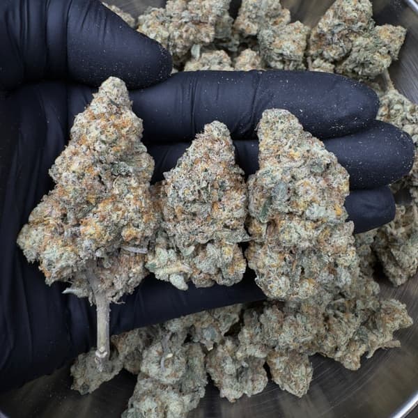 Buy Platinum Punch - Premium Cannabis Product