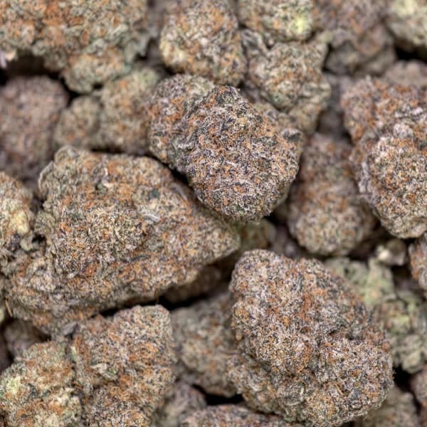 Black Cherry Gelato