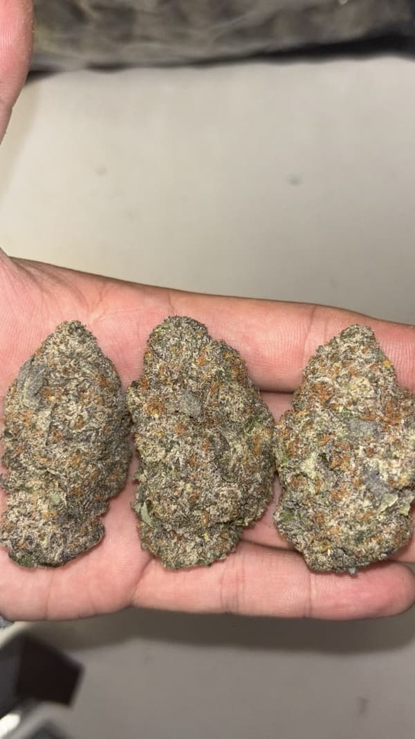 Buy Pink Cake - Premium Cannabis Product