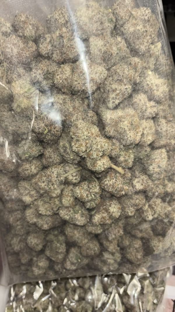 Frosty
