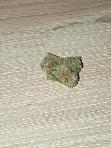 Avaliação de cliente