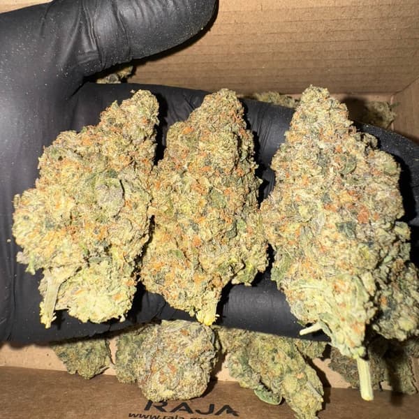 Buy Purple Churro - Premium Cannabis Product