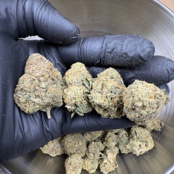 Buy Purple Churro - Premium Cannabis Product