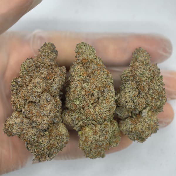 Buy Grape Gas - Premium Cannabis Product