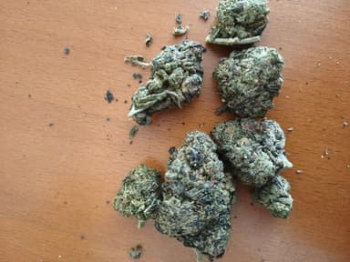 Avaliação de cliente