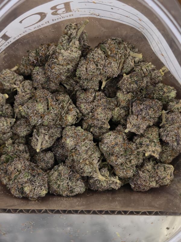Pink Gelato