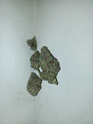 Avaliação de cliente