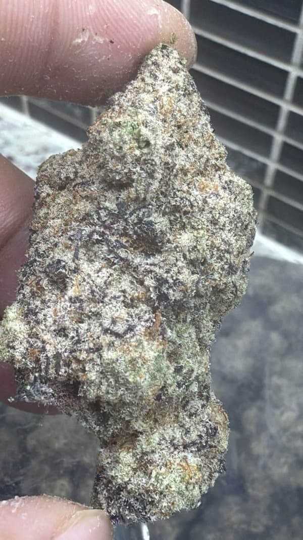 Mac 1