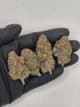 Sour Diesel 