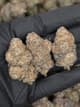 Black Gas