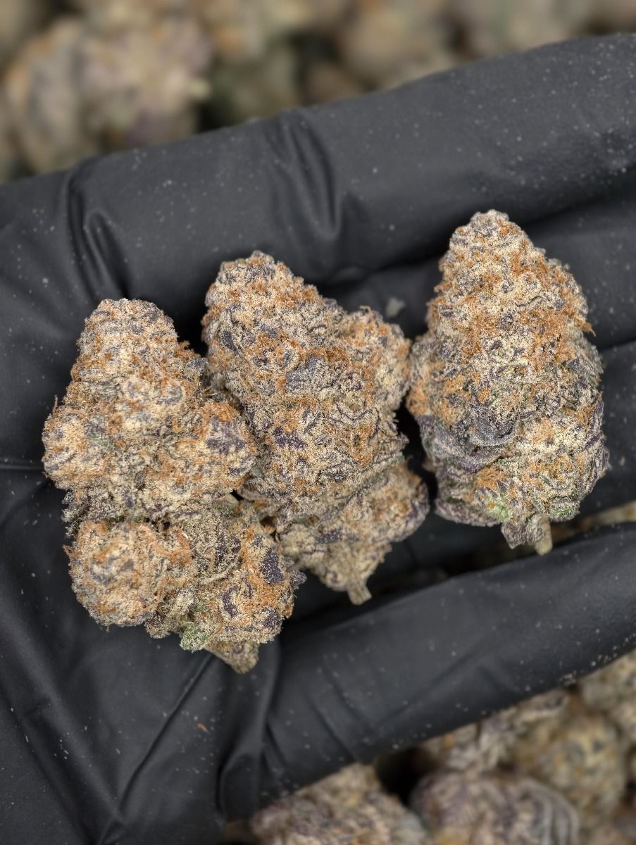 Black Gas