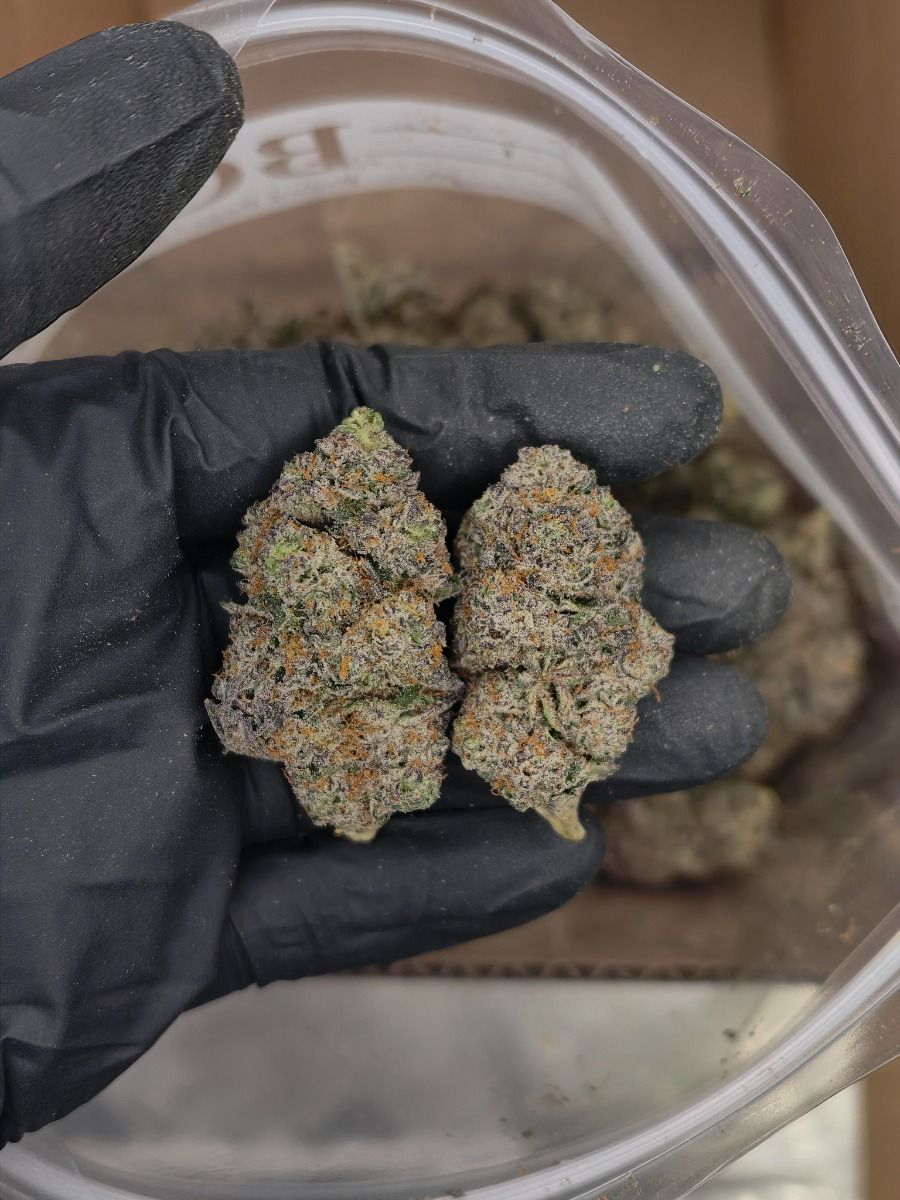 Pink Gelato