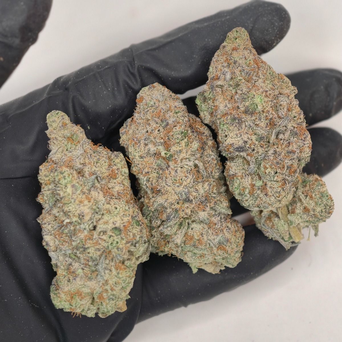 Candyland