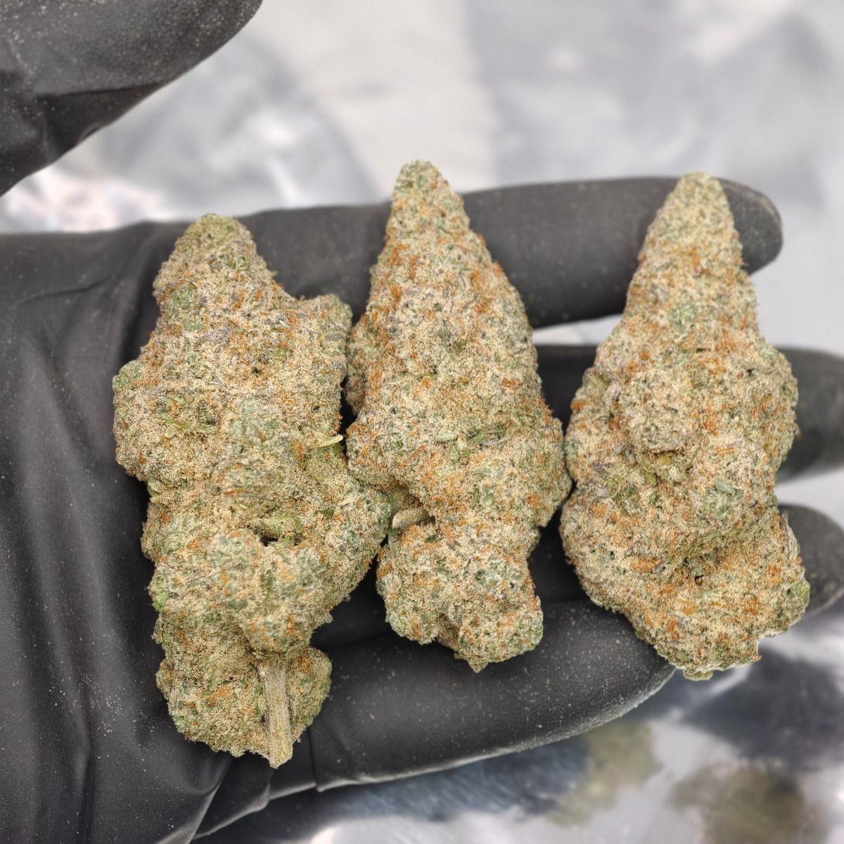 Sunset Sherbet