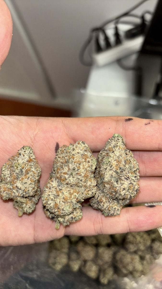 Frosty