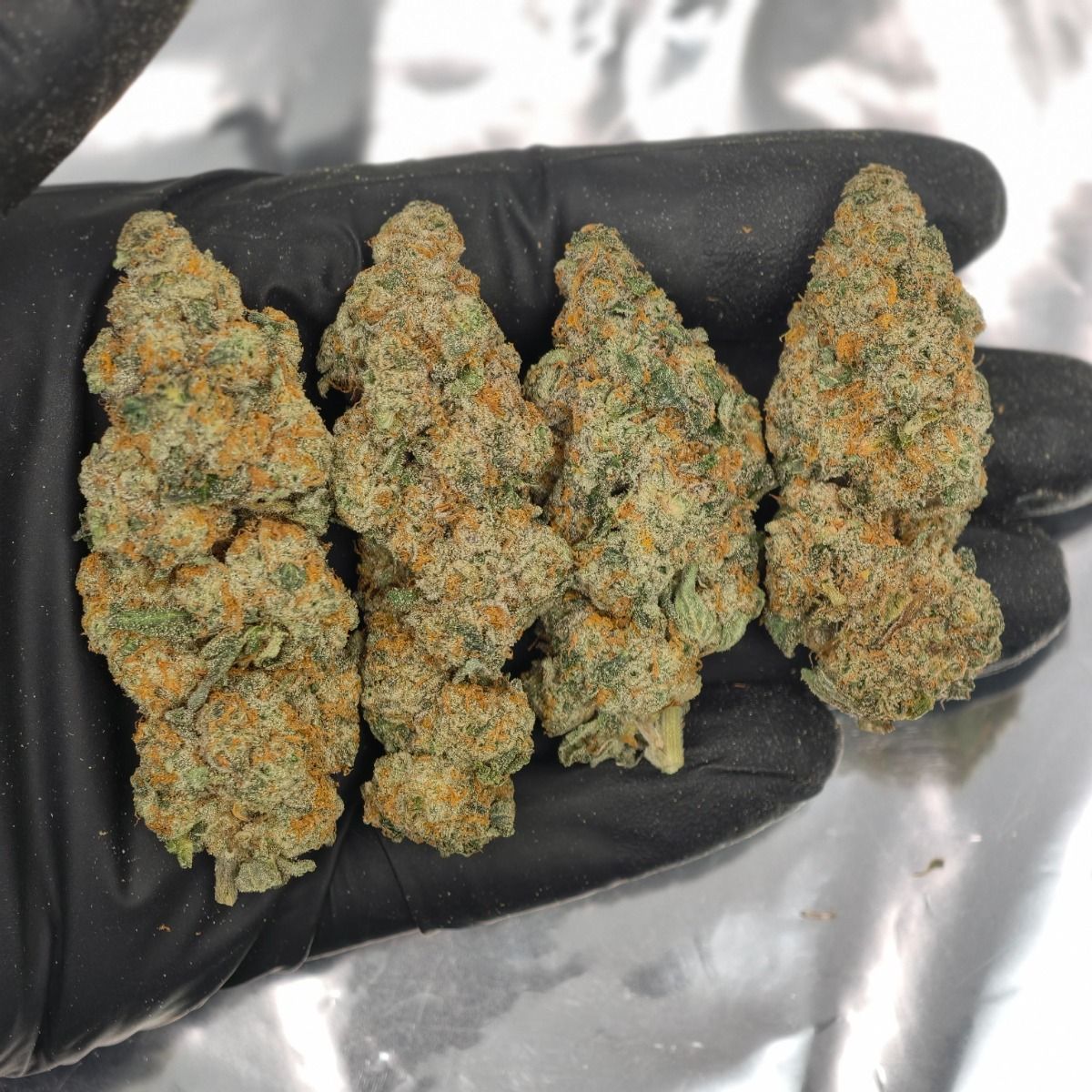 Lemon Cherry Gelato